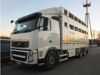 Livestock truck VOLVO FH 460