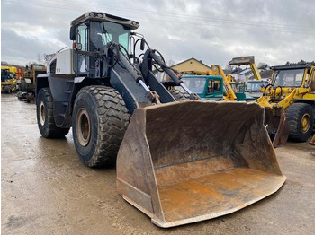 Wheel loader Terex TL 420: picture 2