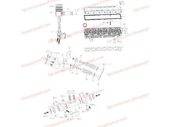 Cylinder head MAN