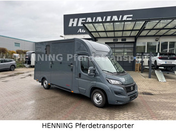 Horse truck FIAT Ducato