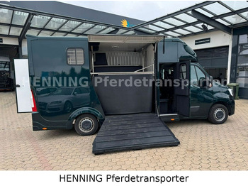 Horse truck Renault Master 5 -  Sitzer Automatik: picture 4