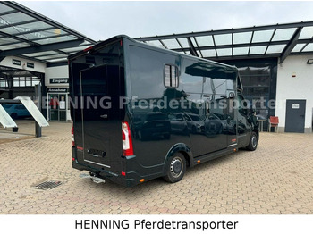 Horse truck Renault Master 5 -  Sitzer Automatik: picture 3