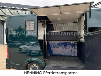 Horse truck Renault Master 5 -  Sitzer Automatik: picture 5