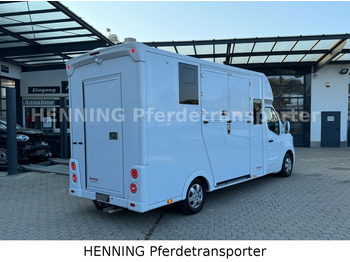 New Horse truck Renault Master 5 -  Sitzer Nutzlast ca. 1100 kg: picture 4