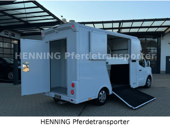 New Horse truck Renault Master 5 -  Sitzer Nutzlast ca. 1100 kg: picture 5