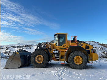 Wheel loader Volvo L220H - Hjullaster - 2024Model: picture 2