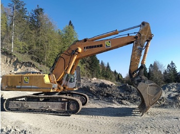 Crawler excavator LIEBHERR R 954