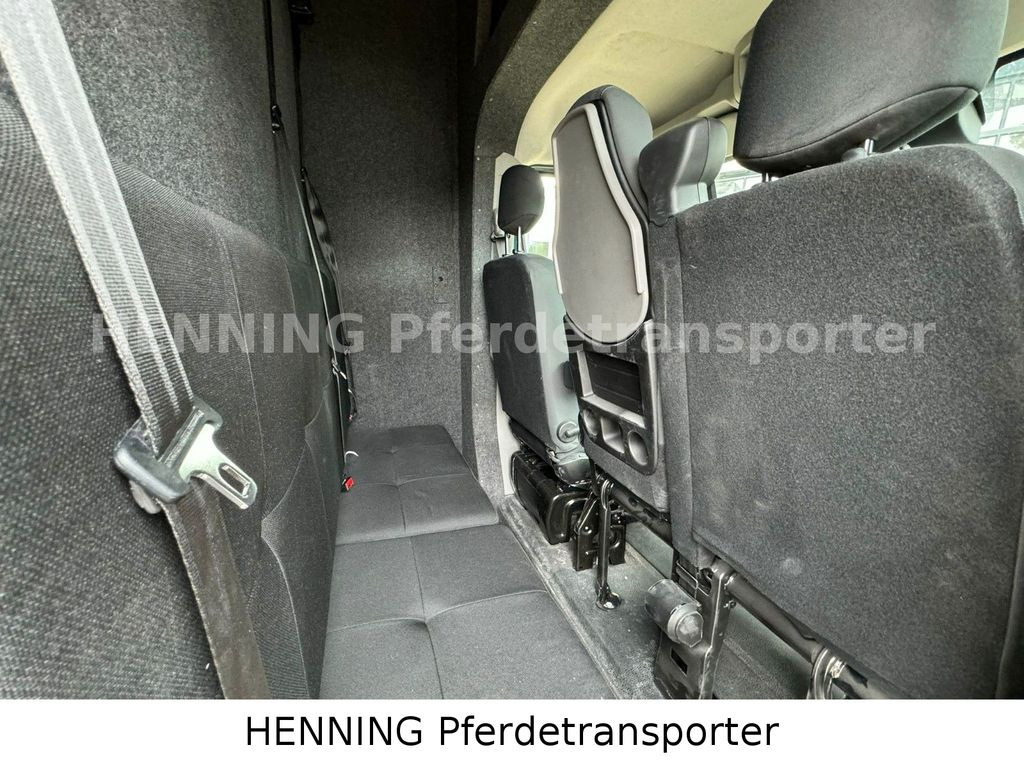 Horse truck Renault Master 5 -  Sitzer Automatik: picture 17