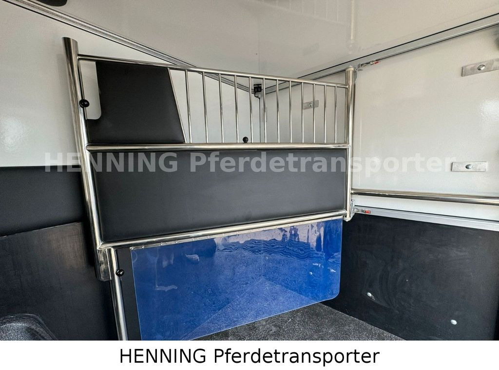 Horse truck Renault Master 5 -  Sitzer Automatik: picture 7