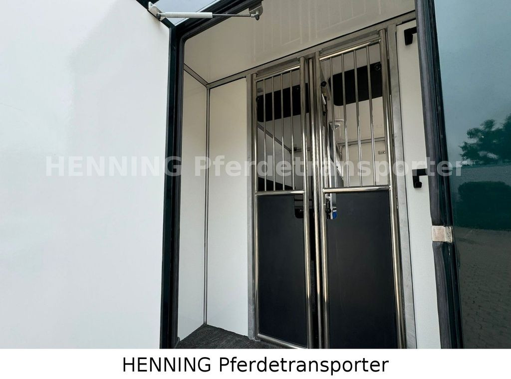 Horse truck Renault Master 5 -  Sitzer Automatik: picture 9