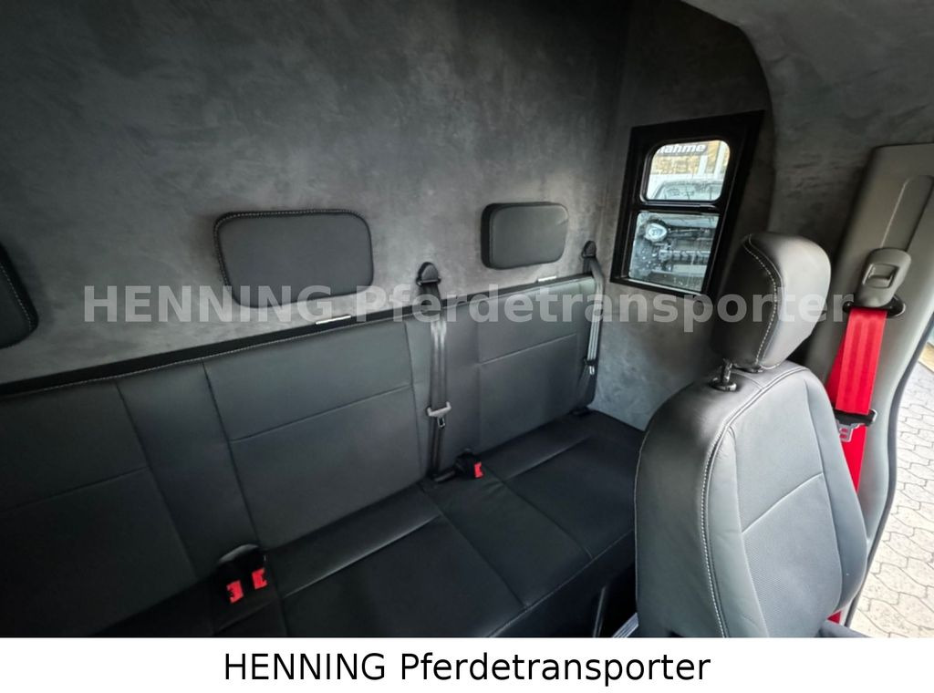 New Horse truck Renault Master 5 -  Sitzer Nutzlast ca. 1100 kg: picture 19