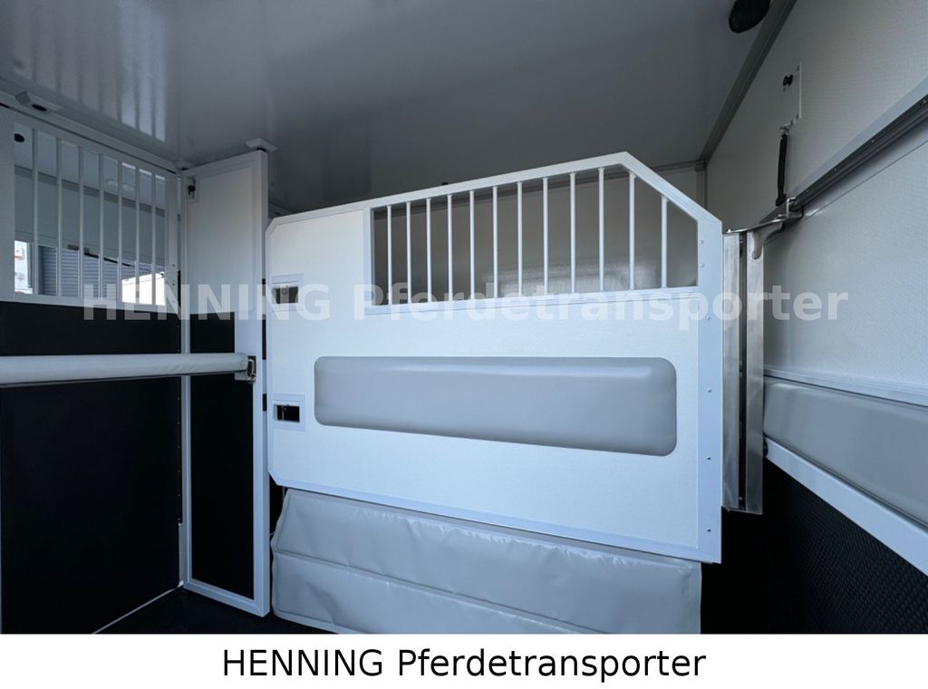 New Horse truck Renault Master 5 -  Sitzer Nutzlast ca. 1100 kg: picture 8