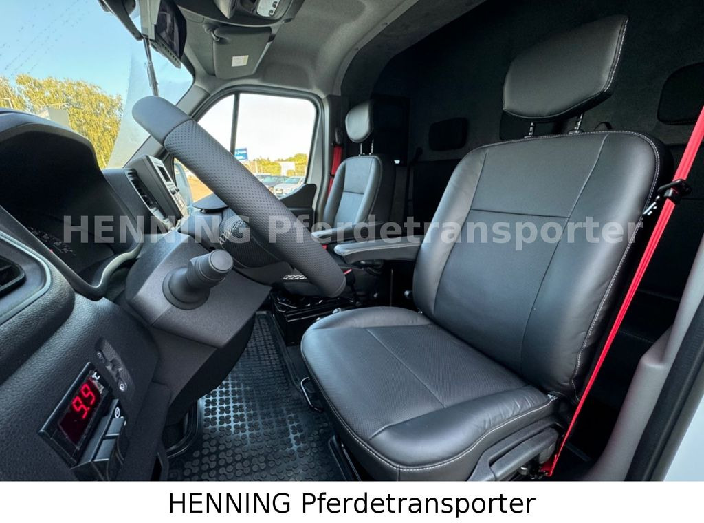 New Horse truck Renault Master 5 -  Sitzer Nutzlast ca. 1100 kg: picture 17