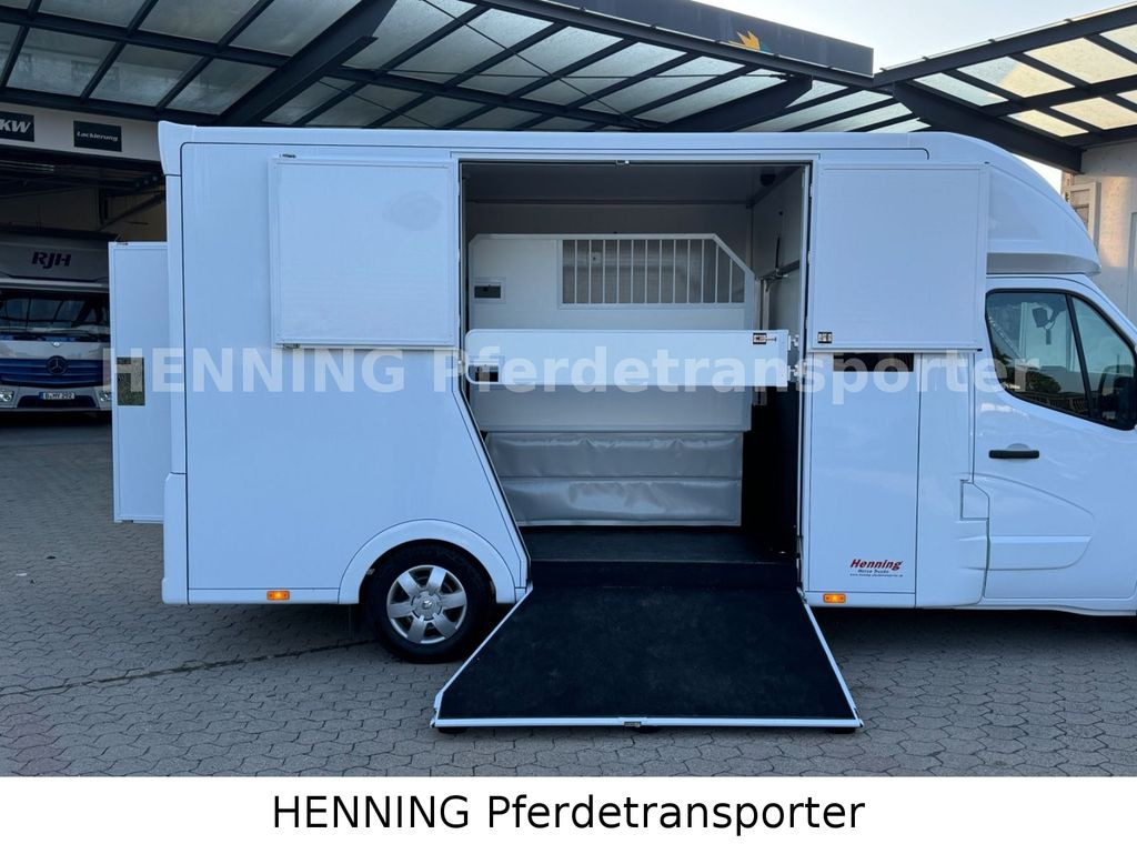 New Horse truck Renault Master 5 -  Sitzer Nutzlast ca. 1100 kg: picture 6