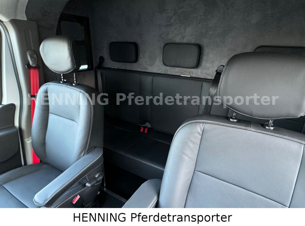 New Horse truck Renault Master 5 -  Sitzer Nutzlast ca. 1100 kg: picture 18